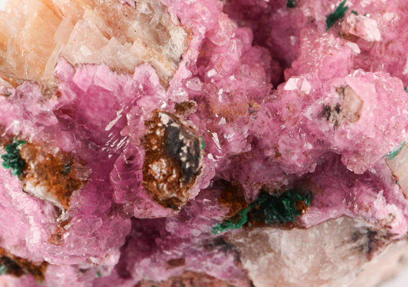 Cobaltoan Calcite on Matrix, Mashamba West Mine, DRC