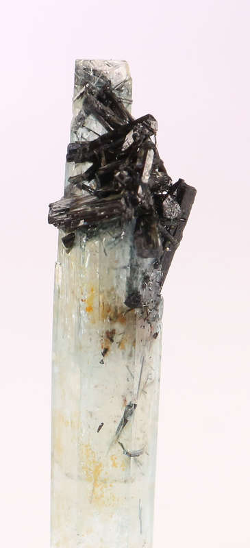 Schorl on Aquamarine, Erongo Mnt Region, Namibia