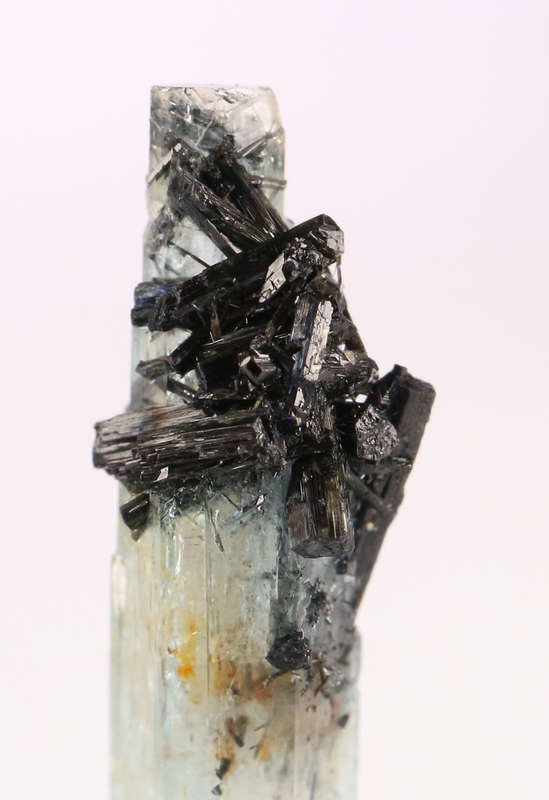 Schorl on Aquamarine, Erongo Mnt Region, Namibia