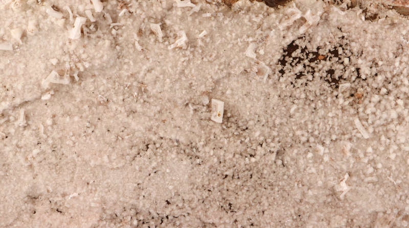 Baryte and Calcite on Matrix, N`Chwaning II, Nothern Cape, South Africa