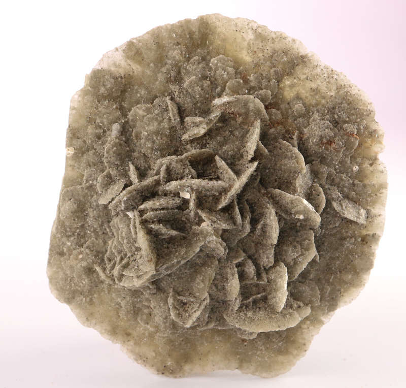 Desert Rose, Ludertiz, Namibia