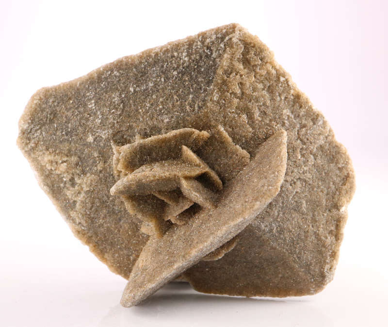 Desert Rose, Ludertiz, Namibia