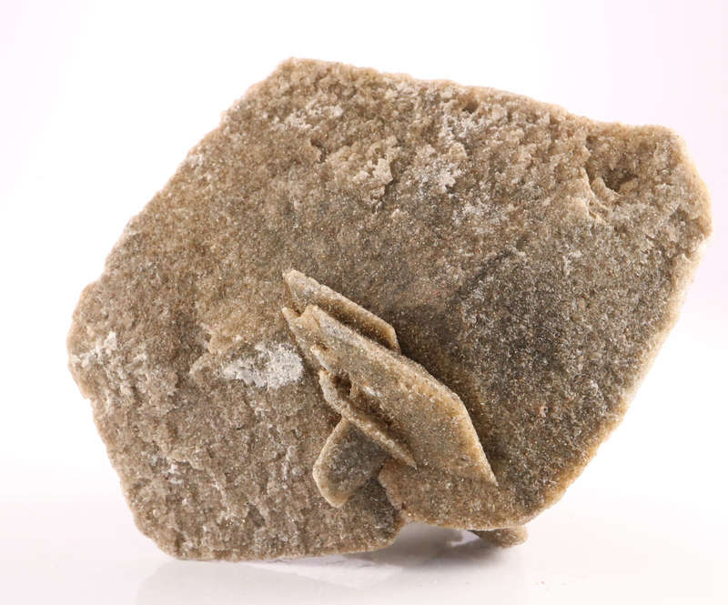 Desert Rose, Ludertiz, Namibia
