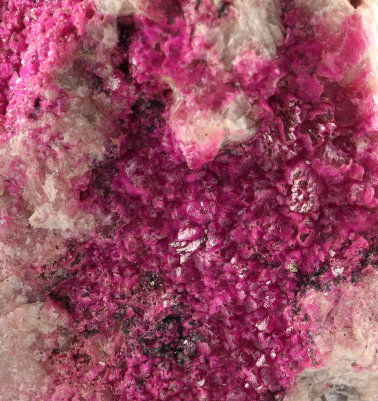 Cobaltoan Calcite on Matrix, Mashamba West Mine, DRC