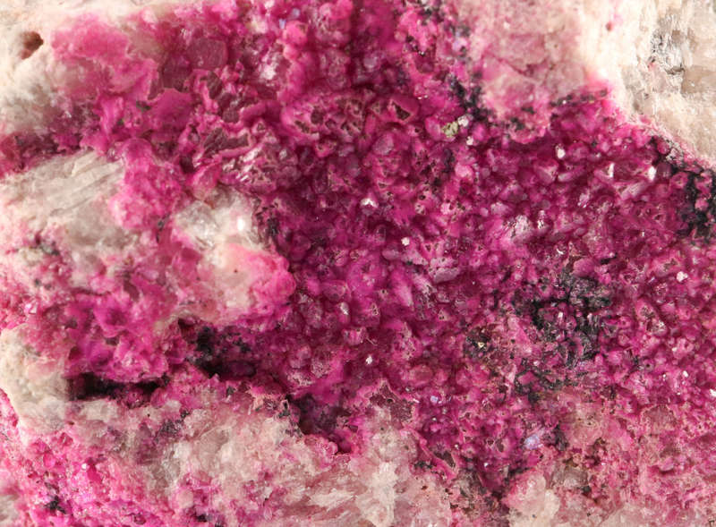 Cobaltoan Calcite on Matrix, Mashamba West Mine, DRC