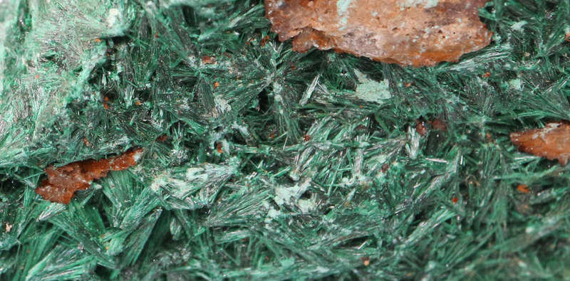 Malachite Cluster, Mashamba West Mine, DRC