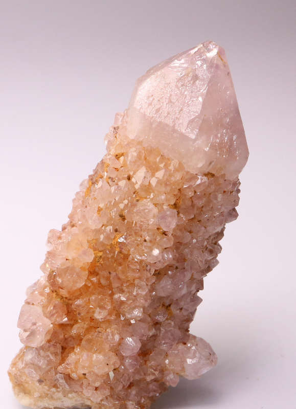 Amethyst Cactus Fairy Quartz, Boekenhouthoek, South Africa