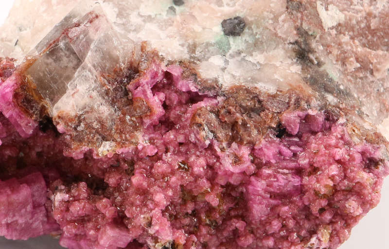 Cobaltoan Calcite on Matrix, Mashamba West Mine, DRC