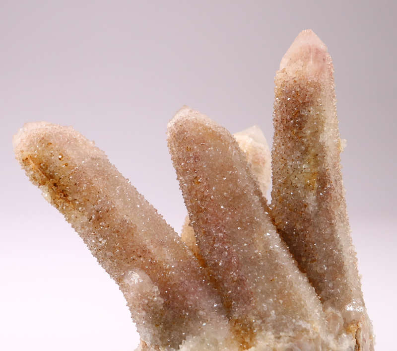 Cactus Fairy Quartz Cluster, Boekenhouthoek, South Africa