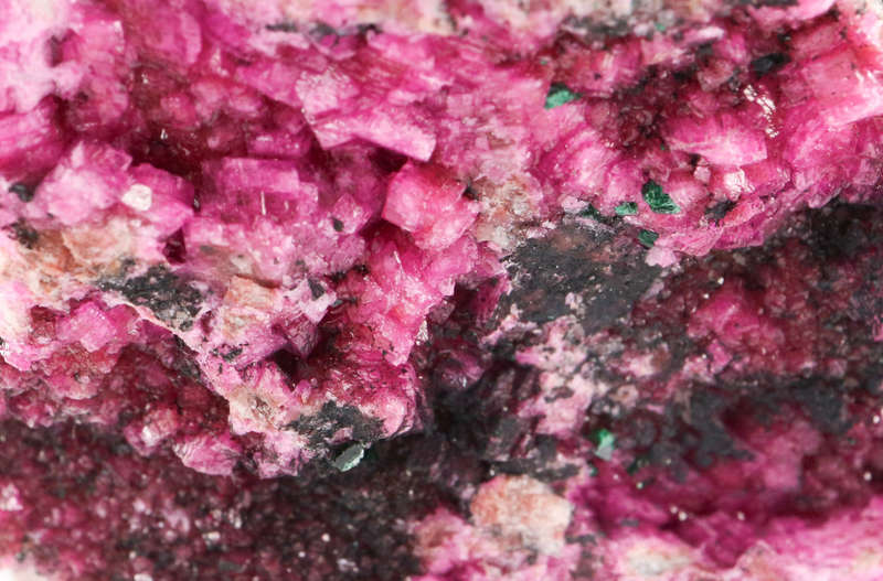Cobaltoan Calcite on Matrix, Mashamba West Mine, DRC