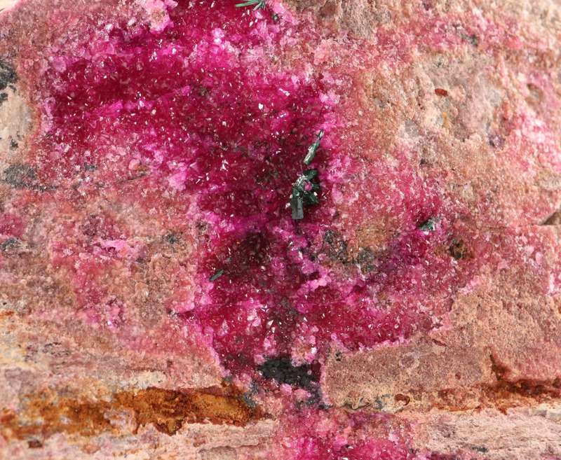 Cobaltoan Calcite on Matrix, Mashamba West Mine, DRC