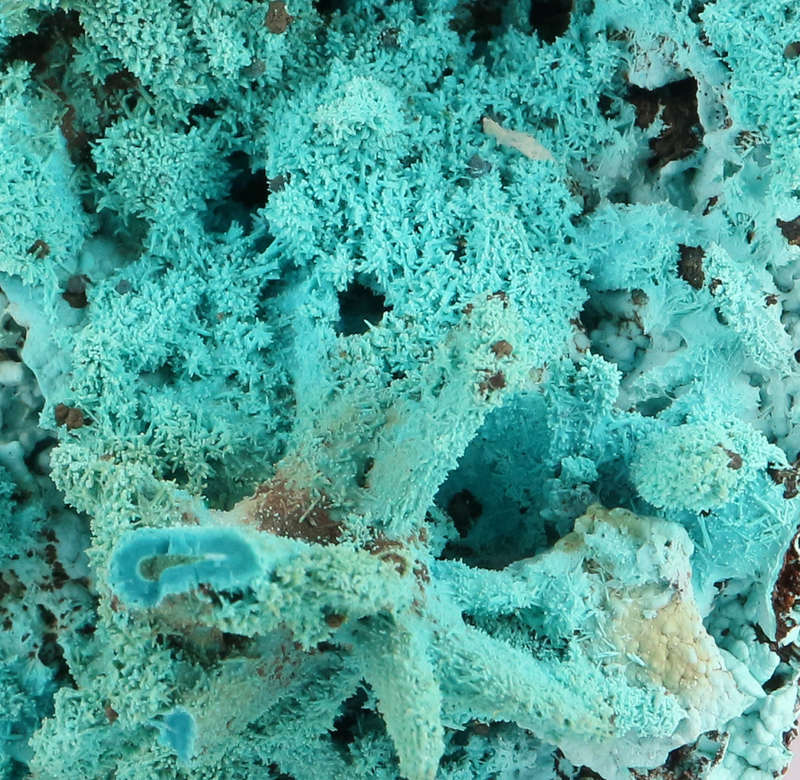 Malachite psm After Azurite on Matrix, Lupoto Mine, DR Congo