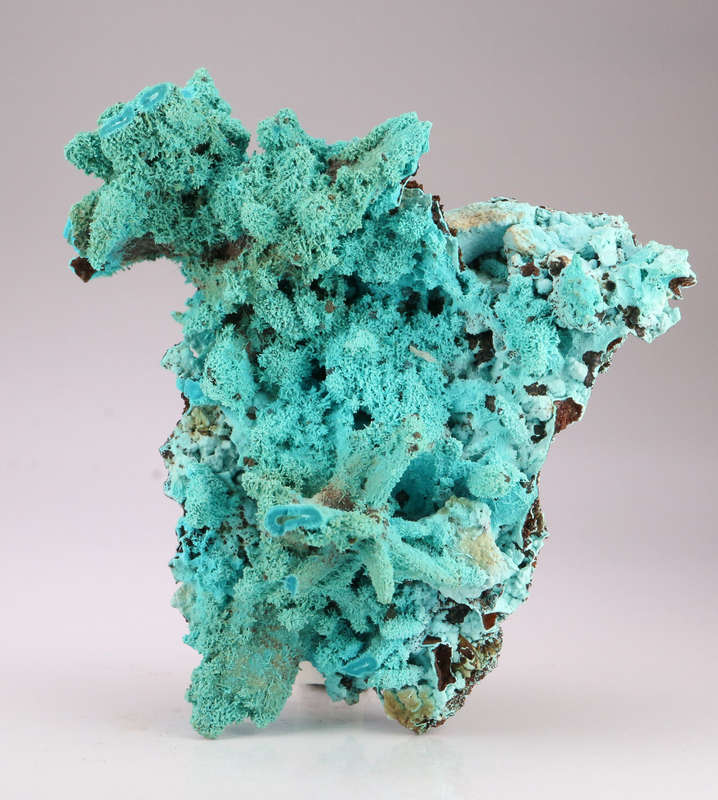 Malachite psm After Azurite on Matrix, Lupoto Mine, DR Congo