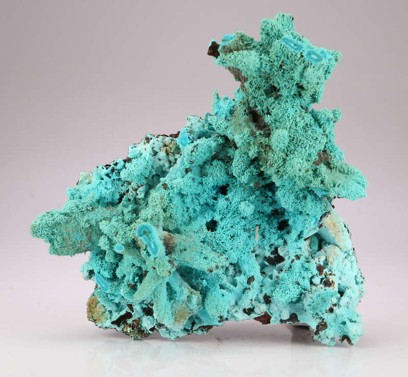Malachite psm After Azurite on Matrix, Lupoto Mine, DR Congo