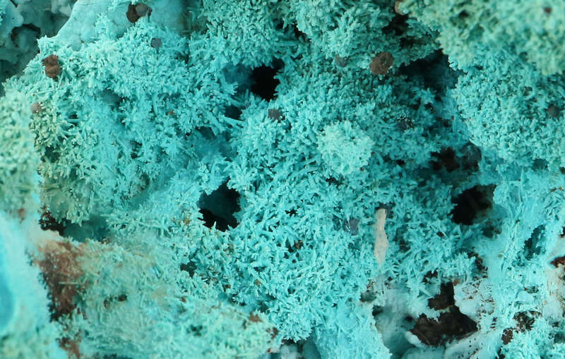 Malachite psm After Azurite on Matrix, Lupoto Mine, DR Congo