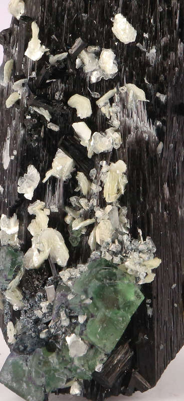 Fluorite on Schorl, Erongo Mnt Region, Namibia