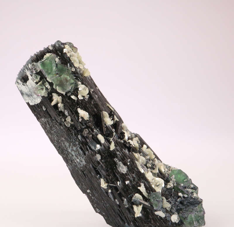 Fluorite on Schorl, Erongo Mnt Region, Namibia