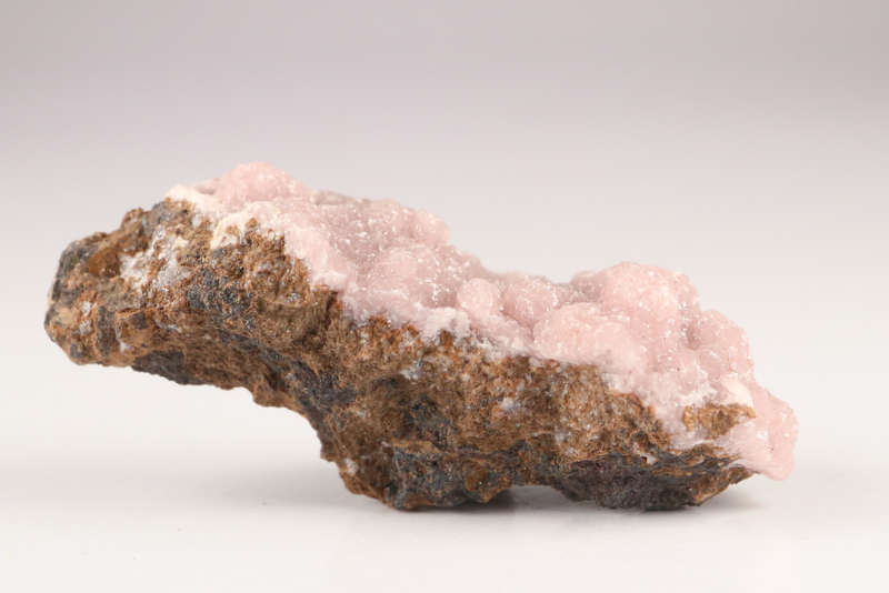 Rhodochrosite on Matrix, N`Chwaning II, Northern Cape, South Africa