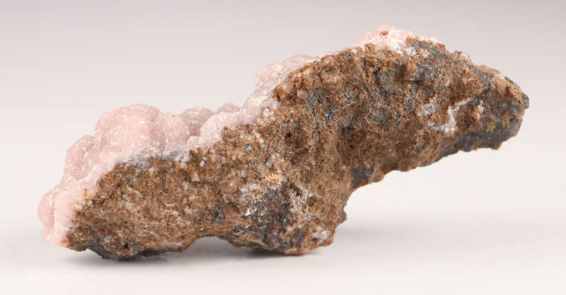 Rhodochrosite on Matrix, N`Chwaning II, Northern Cape, South Africa