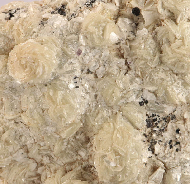 Muscovite Cluster, Erongo Mnt Region, Namibia