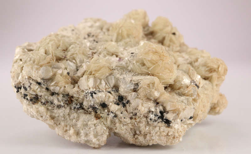 Muscovite Cluster, Erongo Mnt Region, Namibia