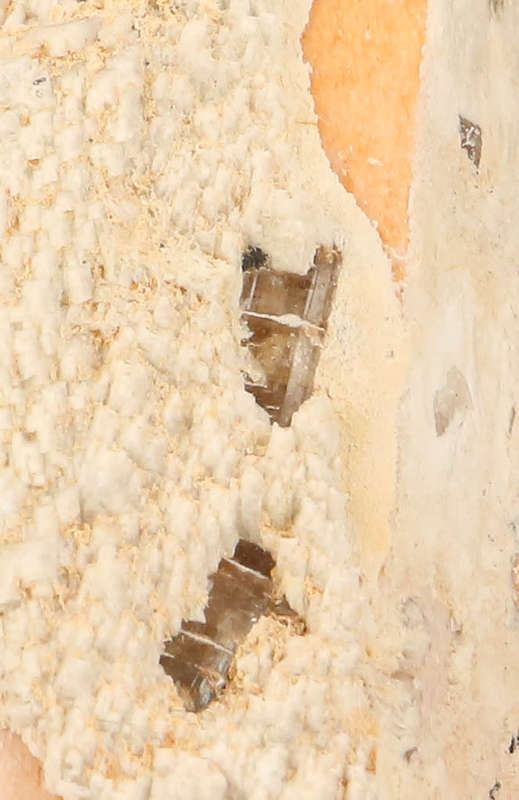 Feldspar Crystal, Erongo Mnt Region, Namibia