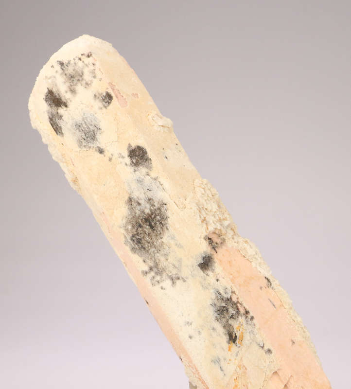Feldspar Crystal, Erongo Mnt Region, Namibia
