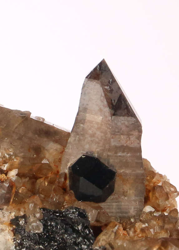Smoky Quartz on Matrix, Zomba Mnt, Malawi