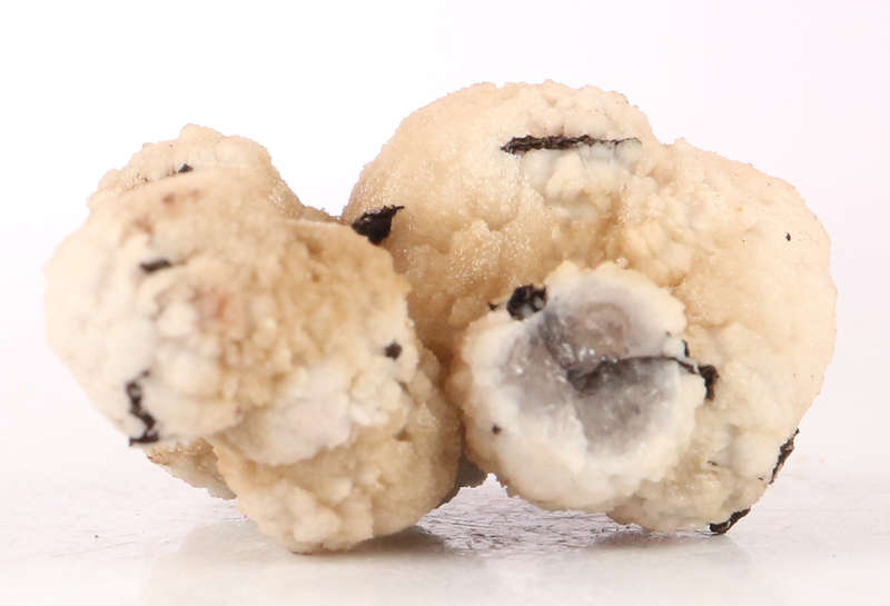Calcite Cluster, N`Chwaning II, Northern Cape, South Africa