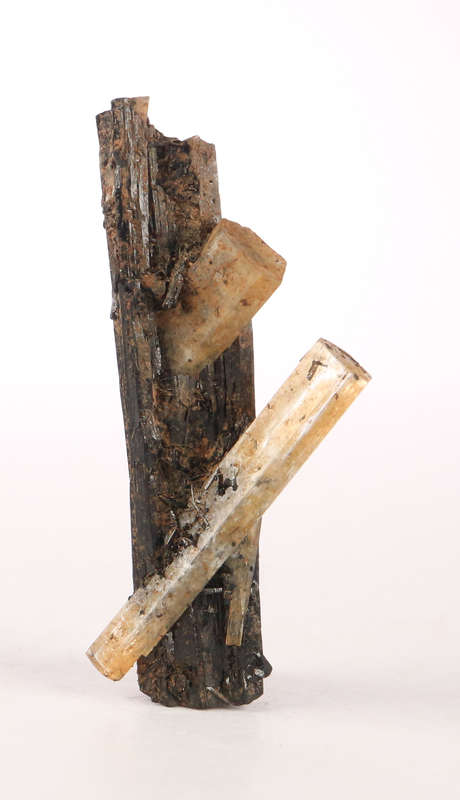 Aquamarine on Schorl, Erongo Mnt Region, Namibia