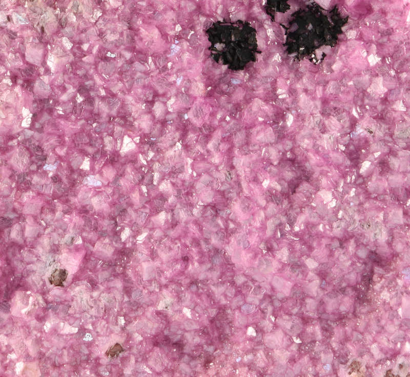Cobaltoan Calcite on Matrix, Mashamba West Mine, DRC