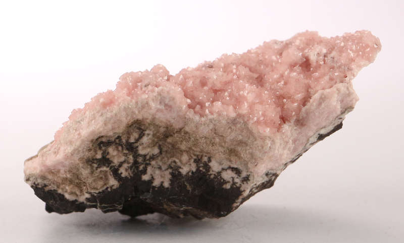 Rhodochrosite on Matrix, N`Chwaning II, Northern Cape, South Africa