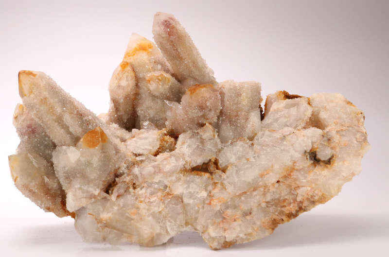 Cactus fairy Quartz Cluster, Boekenhouthoek, South Africa