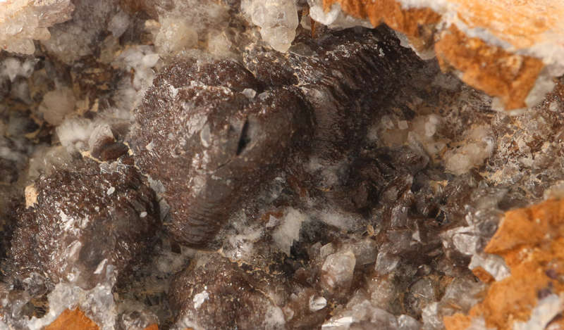 Calcite in Vug, Grootberg, Namibia