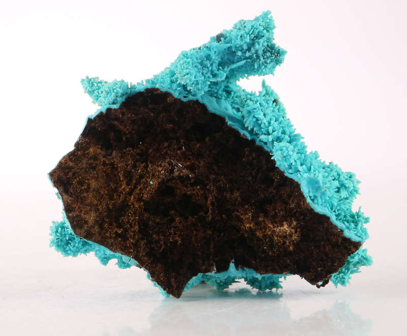 Malachite after Azurite, Lupoto Mine, DR Congo