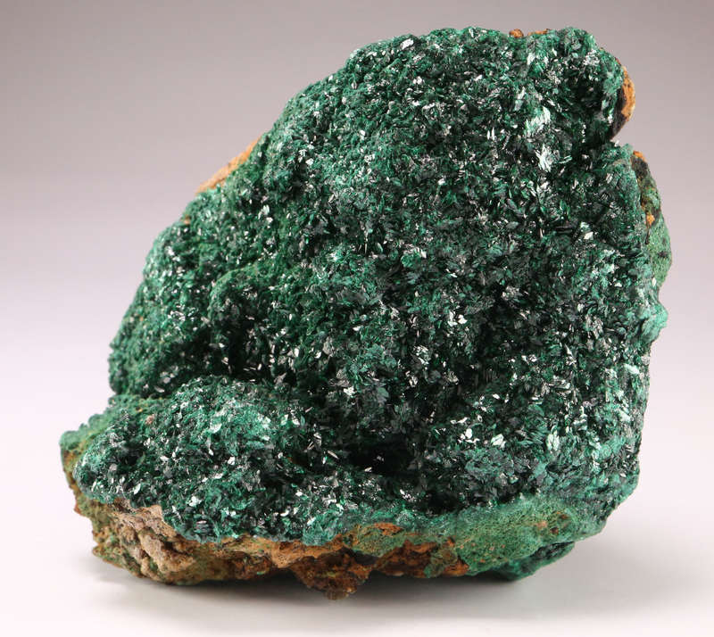 Malachite on Matrix, Mashamba West Mine, DRC