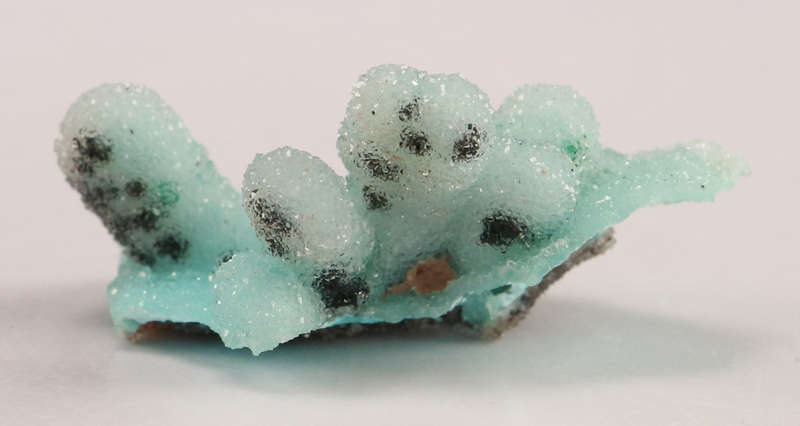 Quartz on Chrysocolla psm Azurite, Tenke Fungurume, DR Congo