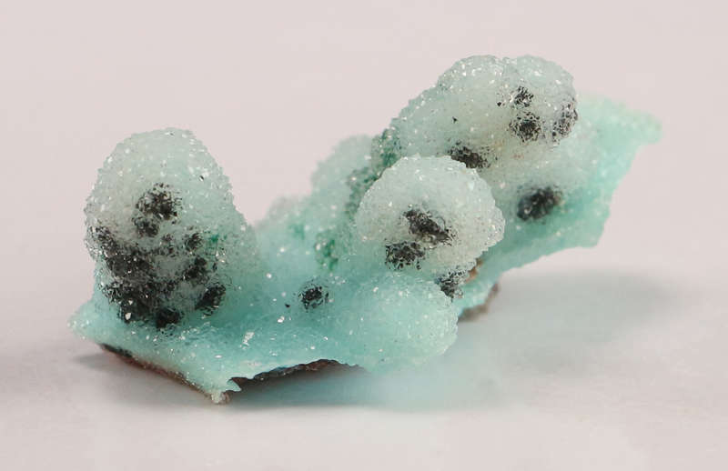 Quartz on Chrysocolla psm Azurite, Tenke Fungurume, DR Congo