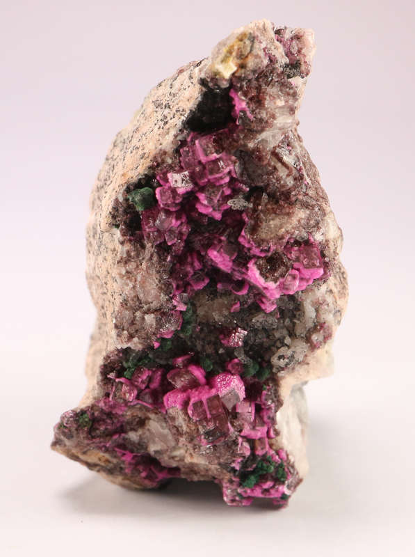 Cobaltoan Calcite on Matrix, Kakanda deposit, Lubudi, Lualaba, DR Congo