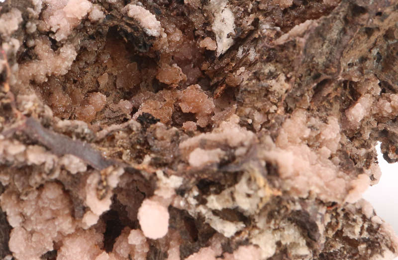 Rhodochrosite on Matrix, N'Chwaning II, Northern Cape, South Africa