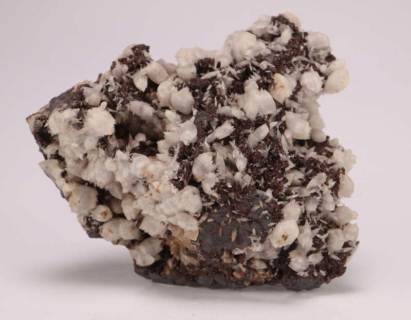 Calcite and Andradite on Matrix, N'Chwaning II, Northern Cape, South Africa