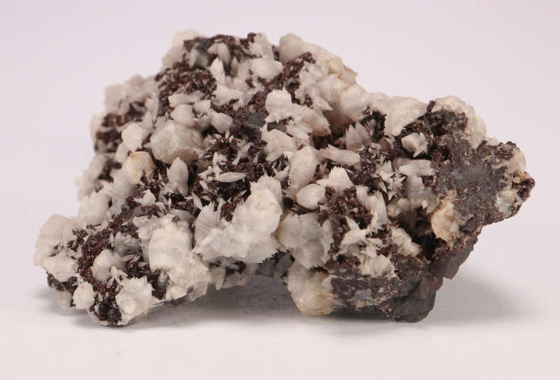 Calcite and Andradite on Matrix, N'Chwaning II, Northern Cape, South Africa