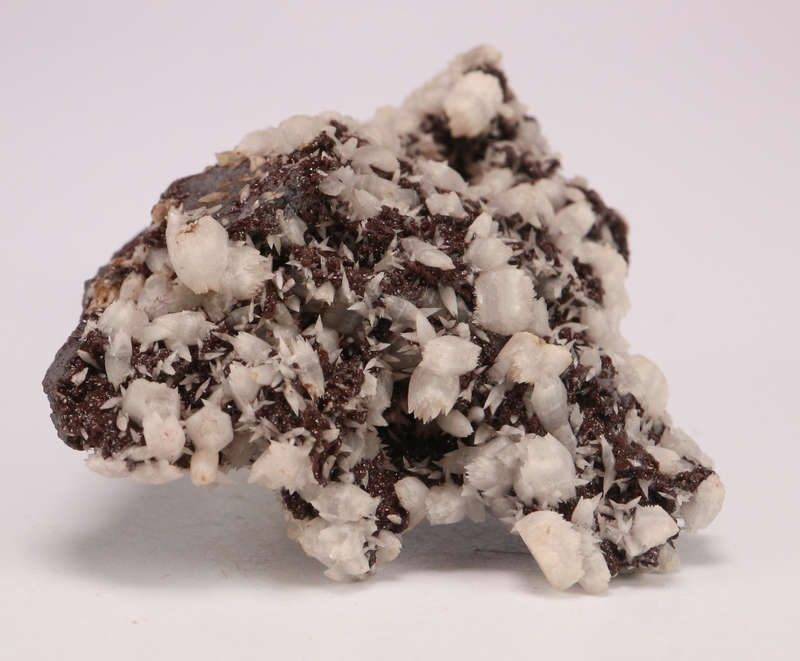 Calcite and Andradite on Matrix, N'Chwaning II, Northern Cape, South Africa