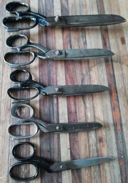COLLECTION OF SCISSORS.