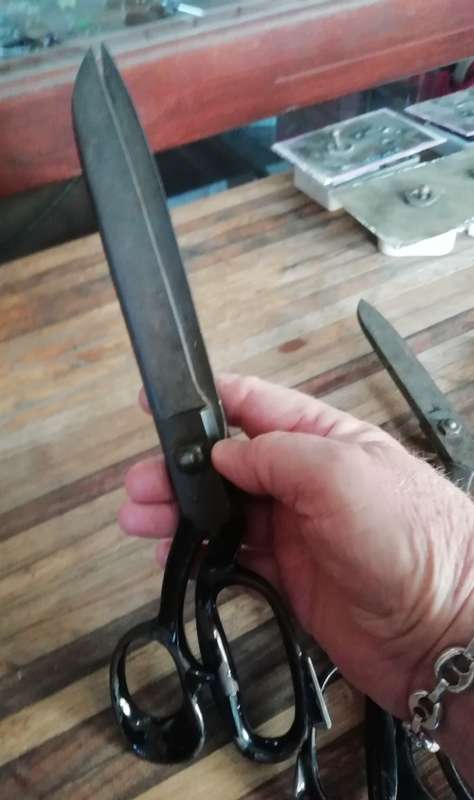COLLECTION OF SCISSORS.