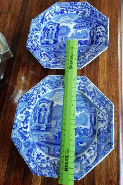 TWO COPELAND SPODE DINNER PLATES.