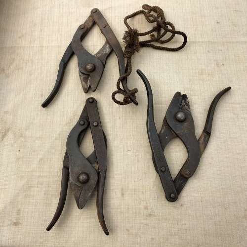 WW2 WIRE CUTTERS.