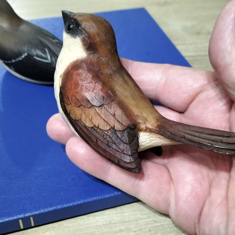 HIGHLY COLLECTABLE,`FEATHER`S FRIENDS`. COMPOSITE MATERIALS