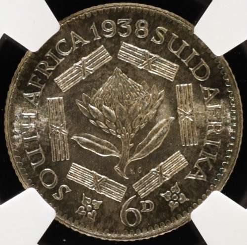 UNION OF SOUTH AFRICA 1938 SIXPENCE GRADED MS64+ BY NGC