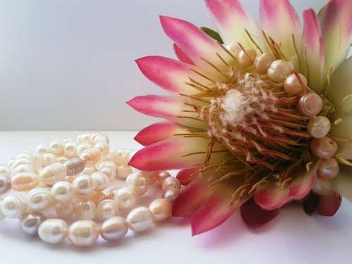 Medium Pearl Necklace